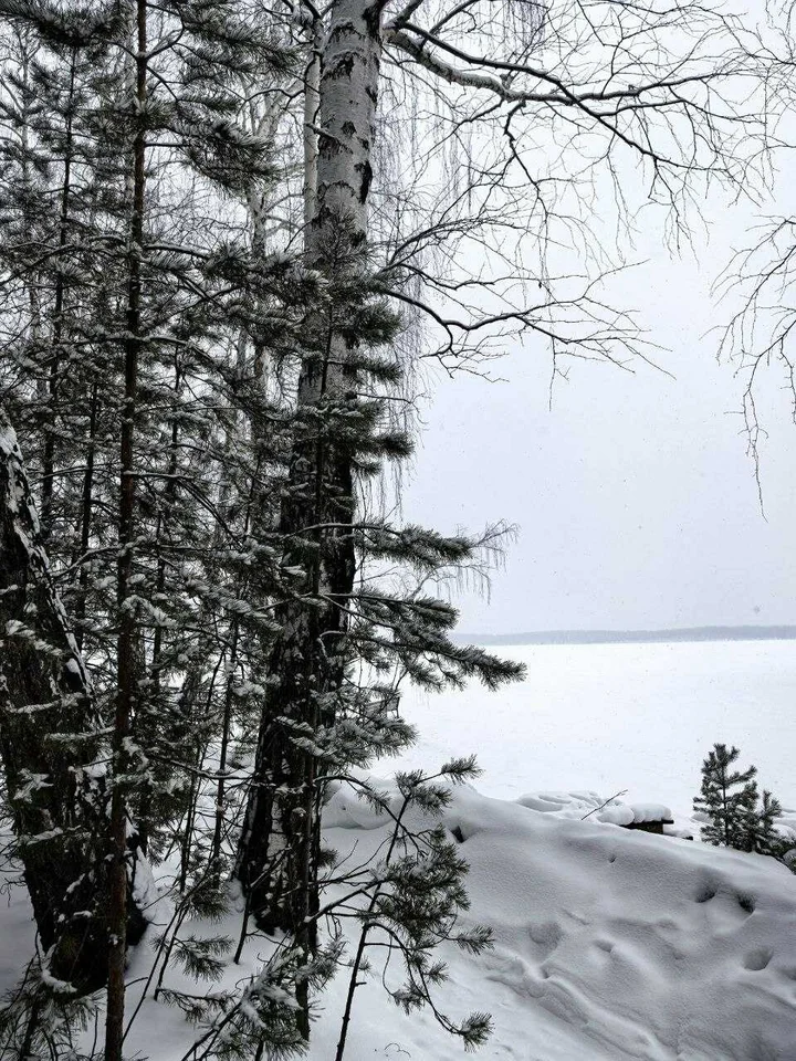 Увильды: Загородный дом "V Dom"