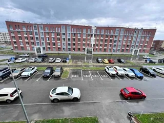 Шушары: Студия на Нины Петровой 10к1