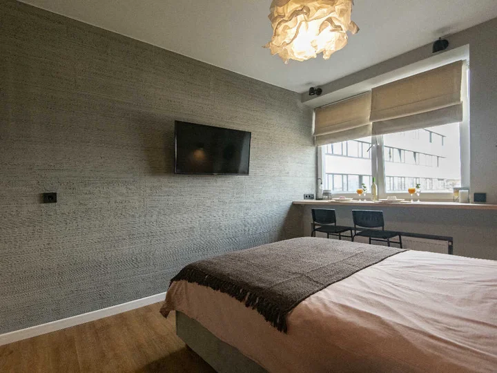 Королев: Дрим Апартменс Студио с большой кроватью и кухней