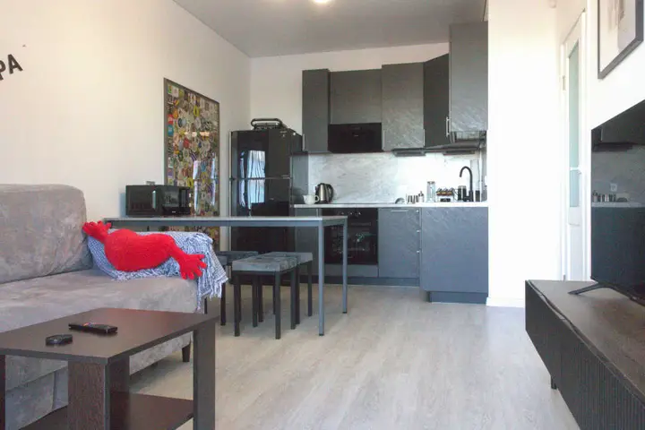 Апартаменты Flat Inn с видом на Неву в ЖК Astra Marine — фото 1