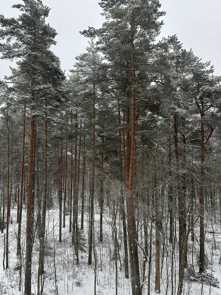 Зеленогорск: Красивая квартира на Комсомольской 12