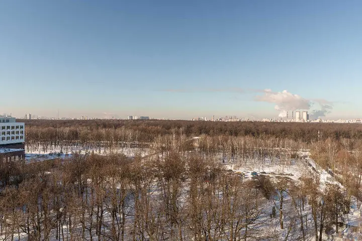 Москва: Евродвушка в ЖК ”Перовский”