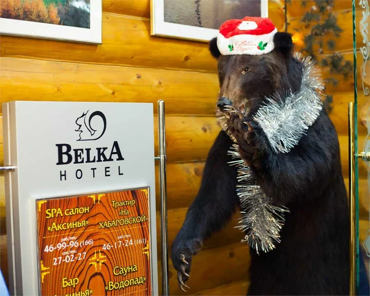 Южно-Сахалинск: Отель "Belka"