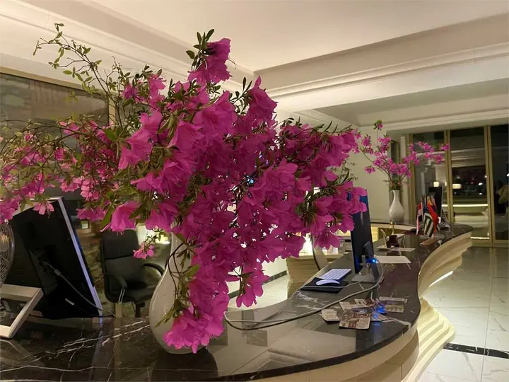 Сухум: Grand Hotel Sukhum