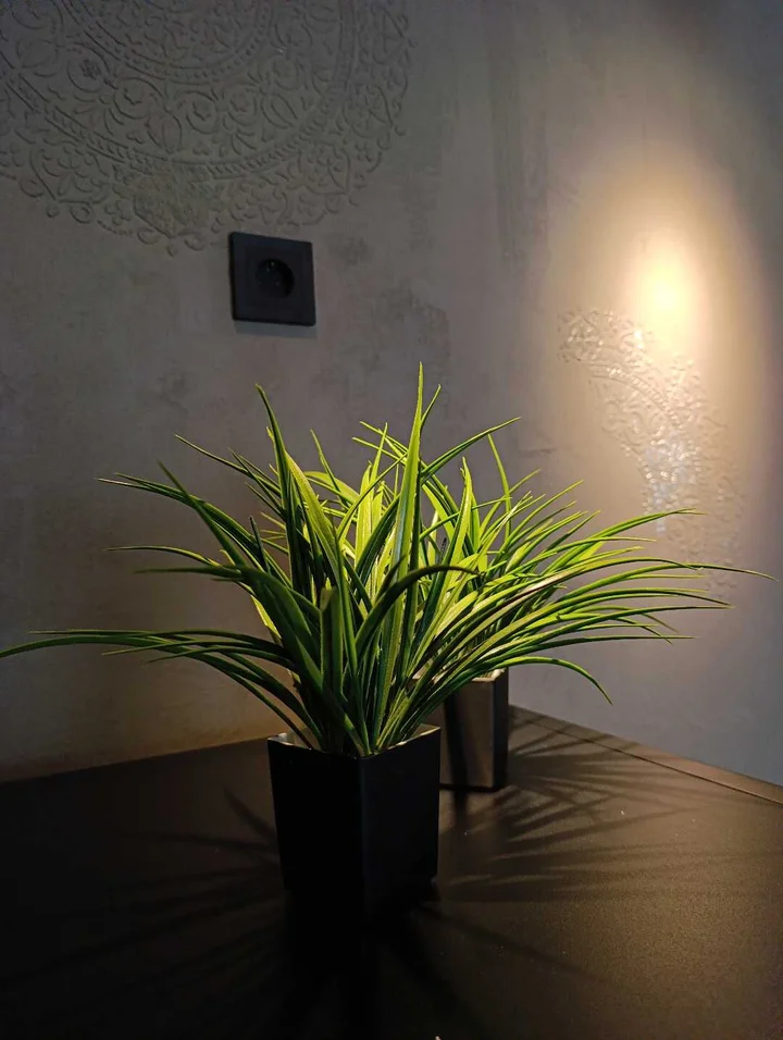 Новосибирск: Студия с панорамным видом на Зорге