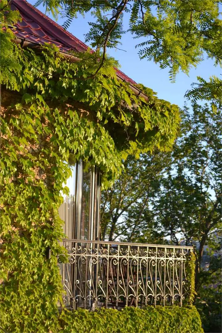 carousel image 5