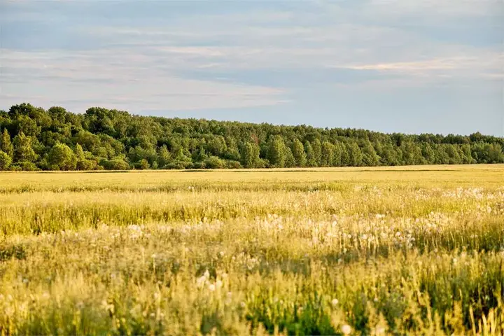 Верхняя Салда: "Дальний Хутор"
