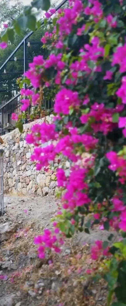 Евпатория: Гостевой дом "7 Я"