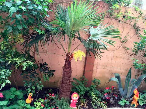 Сочи: Гостевой дом "Граф РоСлав"