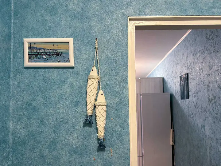 Санкт-Петербург: VeraLand. Рыбка