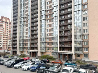 Санкт-Петербург: VeraLand. Рыбка