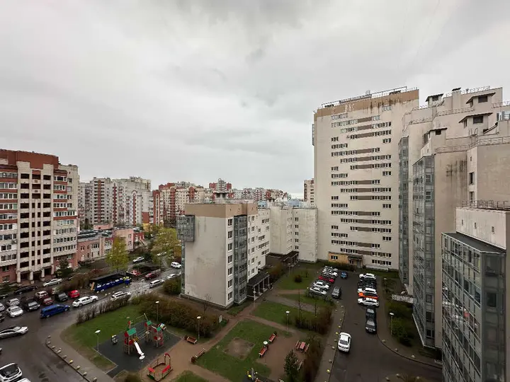 Санкт-Петербург: VeraLand. Рыбка
