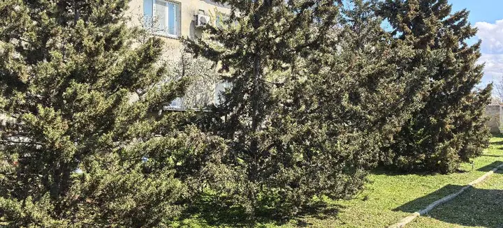Оленевка: Гостиница Муссон