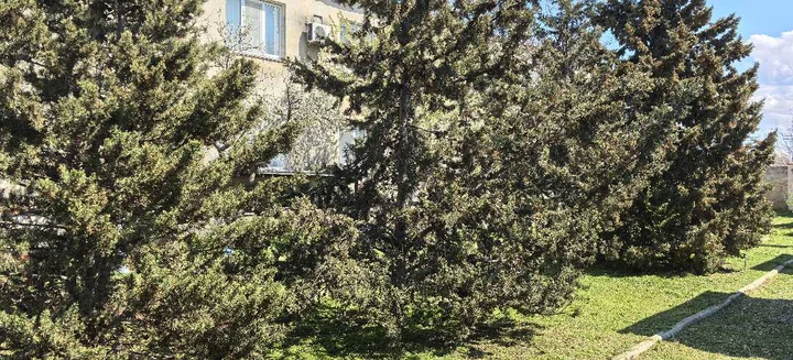 Оленевка: Гостиница Муссон