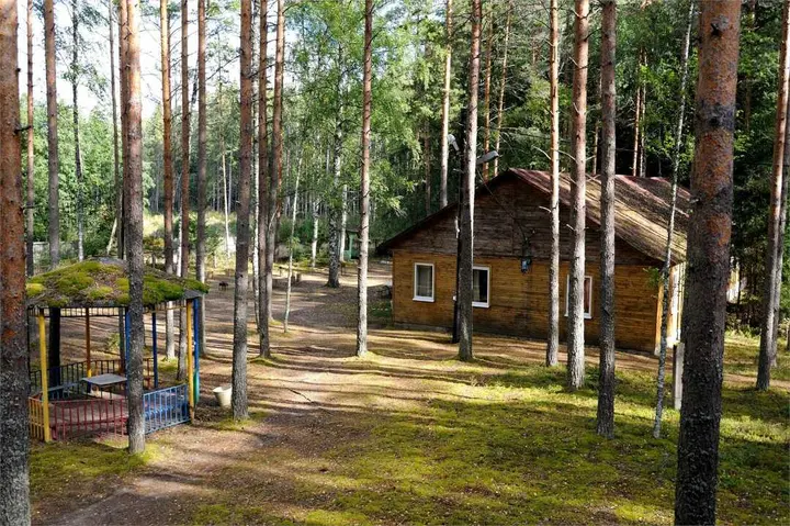 Ленинградская область, Лужский район, дер. Новые Крупели: Аннушка