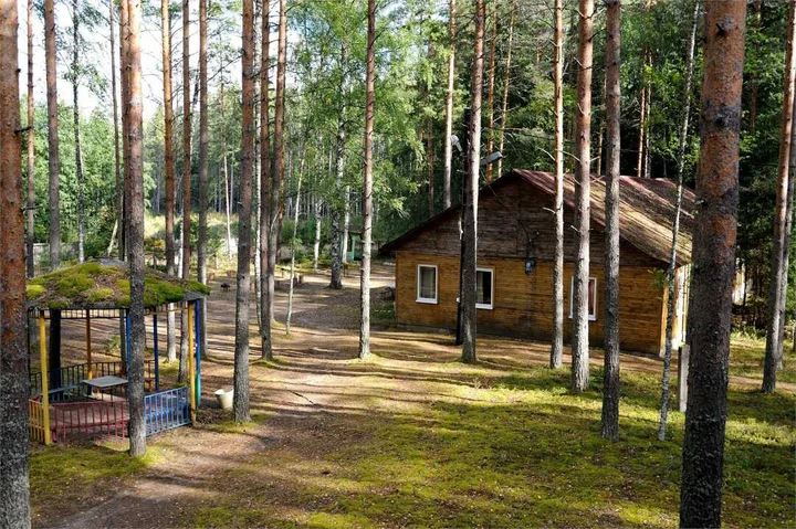 Ленинградская область, Лужский район, дер. Новые Крупели: Аннушка
