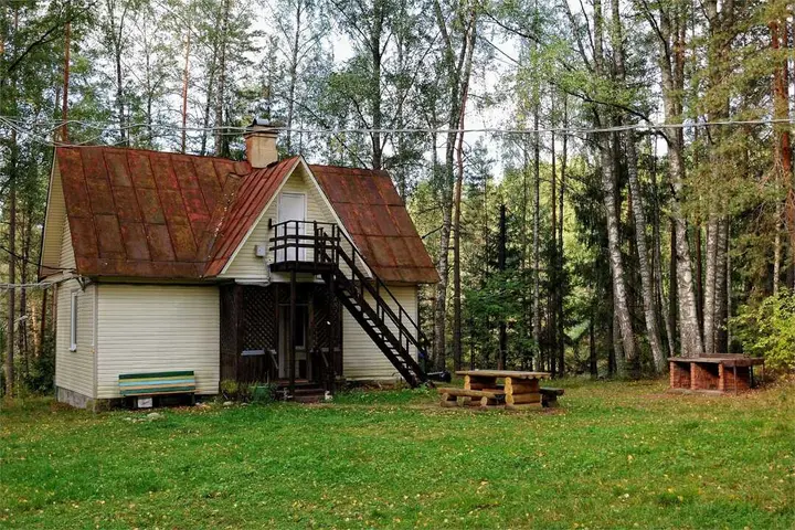 Ленинградская область, Лужский район, дер. Новые Крупели: Аннушка