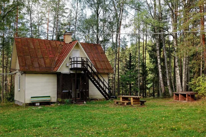 Ленинградская область, Лужский район, дер. Новые Крупели: Аннушка