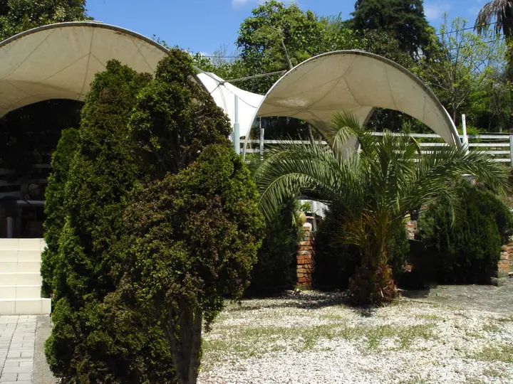 Верхняя Эшера: Отель "Palm Hotel"
